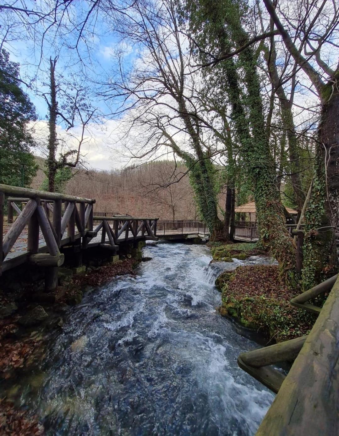 Brvnara Na Obali Reke Drine Villa Beserovina Exterior foto
