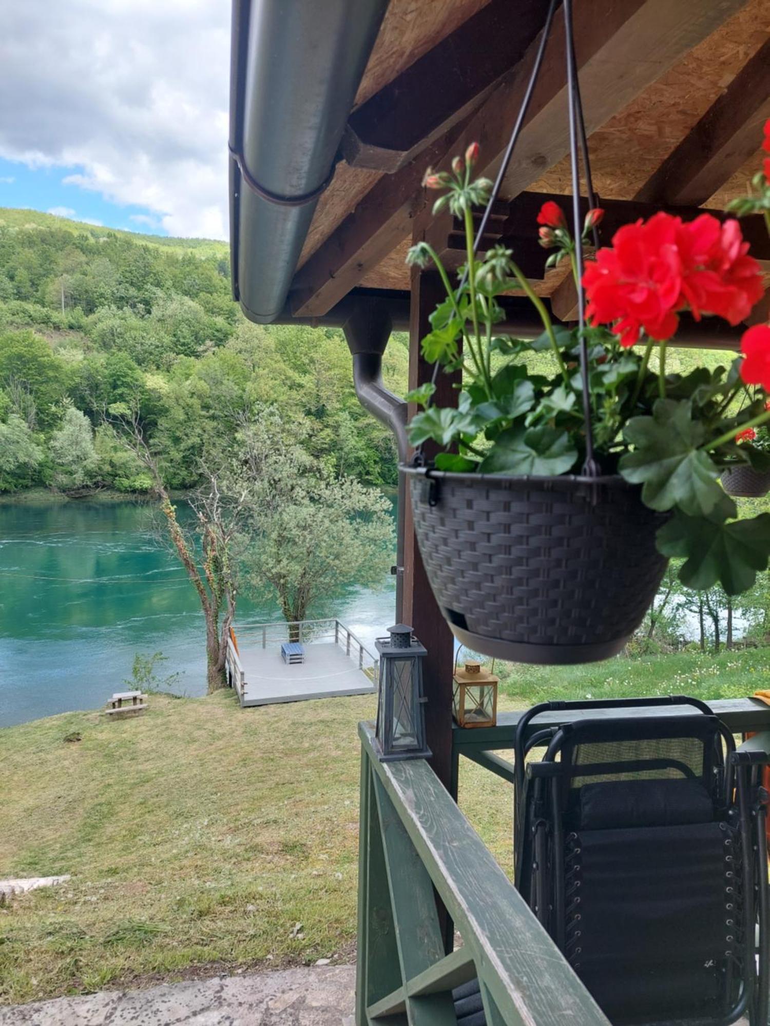 Brvnara Na Obali Reke Drine Villa Beserovina Exterior foto
