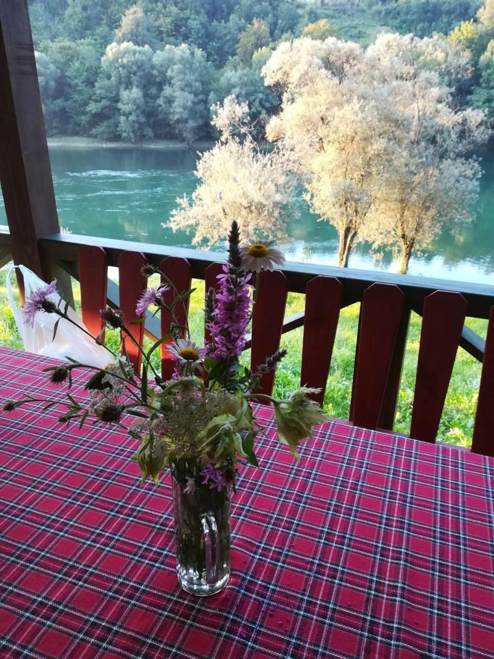 Brvnara Na Obali Reke Drine Villa Beserovina Exterior foto